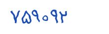 security code