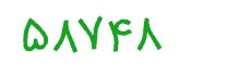 security code