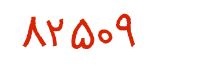 security code