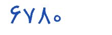 security code