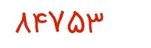 security code