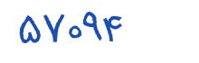 security code