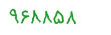 security code