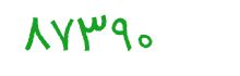 security code
