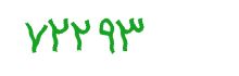 security code