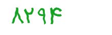 security code