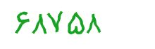 security code