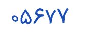 security code