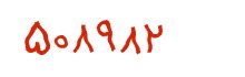 security code