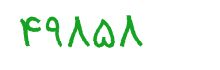 security code