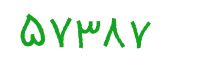 security code