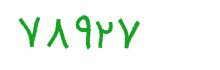 security code