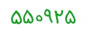 security code