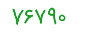 security code