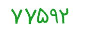 security code