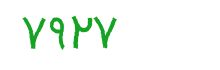 security code