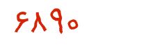 security code