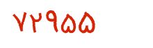 security code