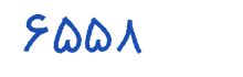 security code