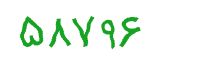 security code