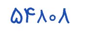 security code
