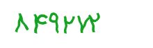 security code