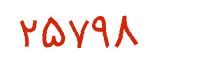 security code
