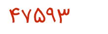 security code