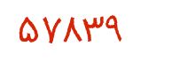security code