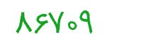 security code
