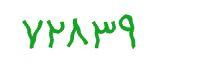 security code