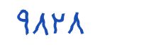 security code
