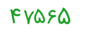 security code