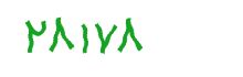 security code