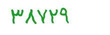 security code