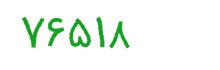 security code