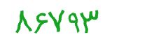 security code