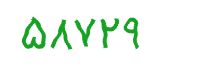 security code