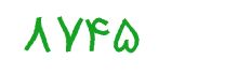 security code