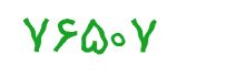 security code