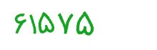 security code
