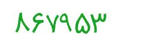 security code