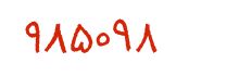 security code