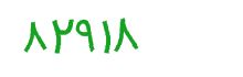 security code