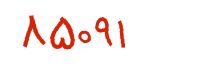 security code