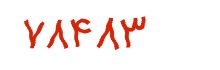 security code