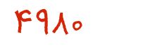 security code