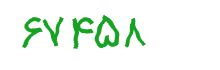 security code