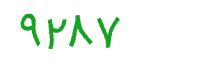 security code