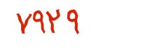 security code